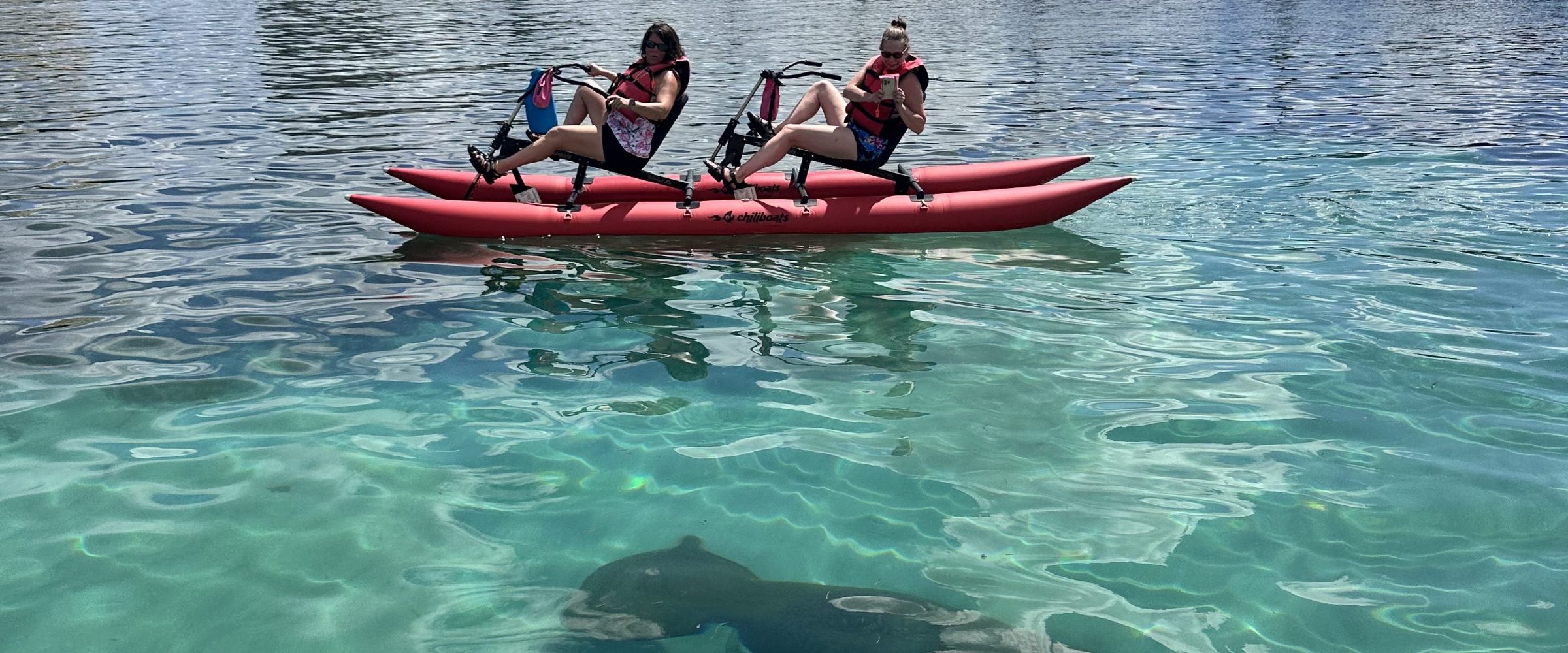 Two people on a red pedal boat above a large fish and a smaller fish in clear water.