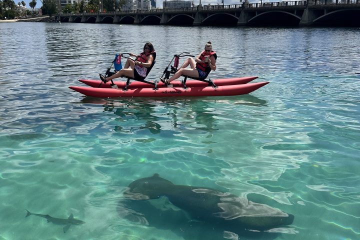 Two people on a red pedal boat above a large fish and a smaller fish in clear water.