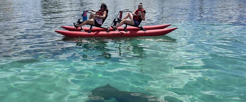 Two people on a red pedal boat above a large fish and a smaller fish in clear water.