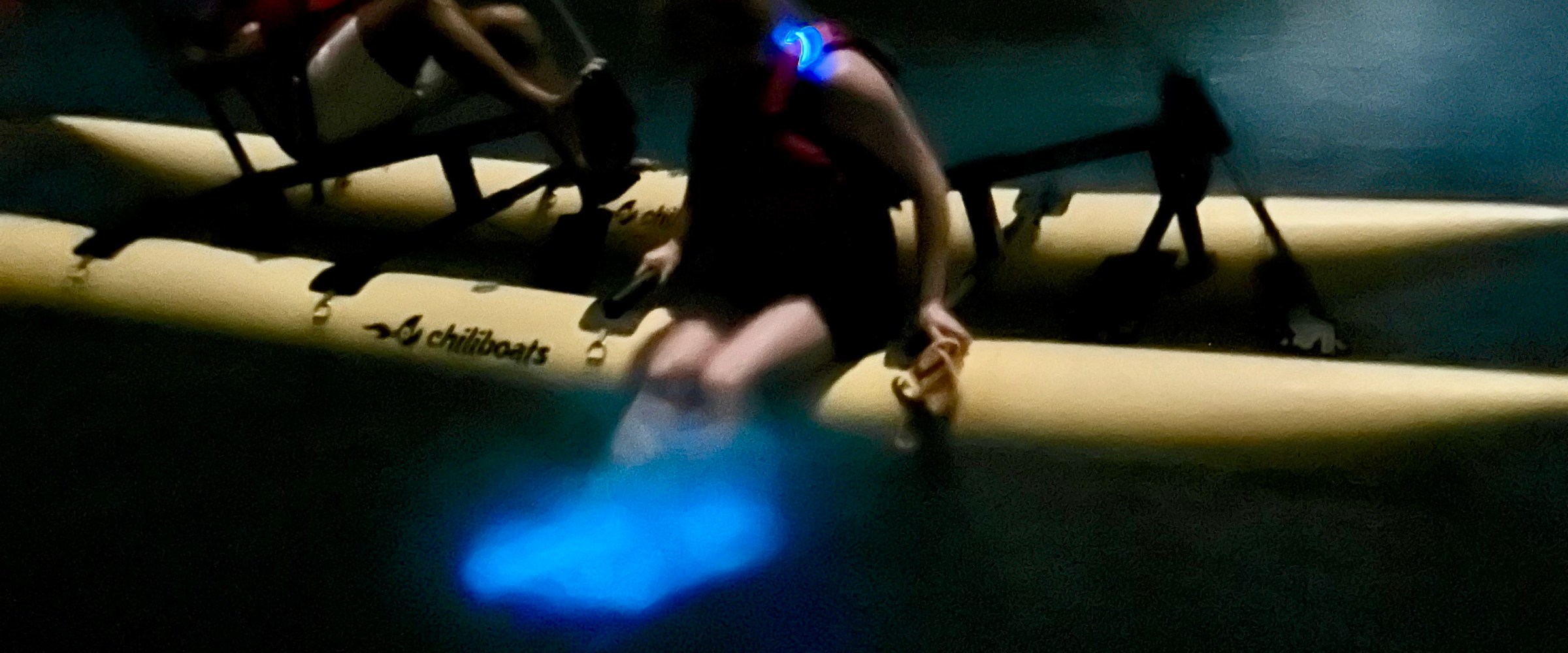 Two people kayaking at night with glowing bioluminescence in the water beneath them.