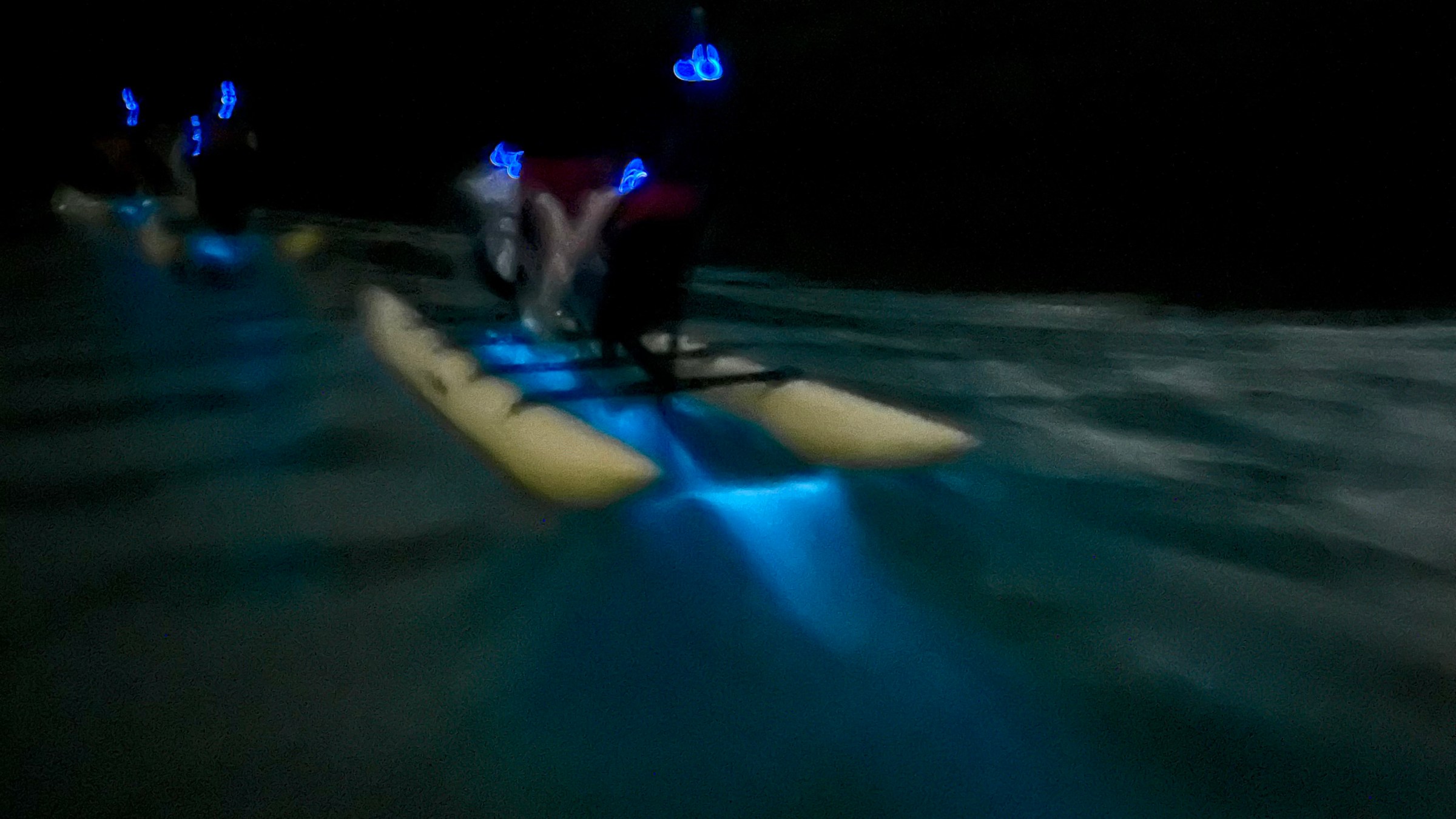 Shadowy figures kayaking at night with blue lights on water.