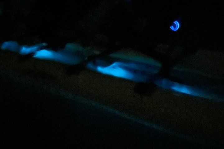 a screen shot of a computer