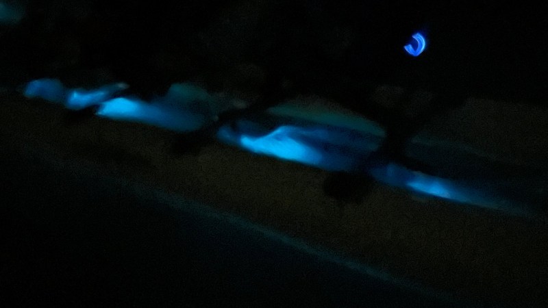 a screen shot of a computer