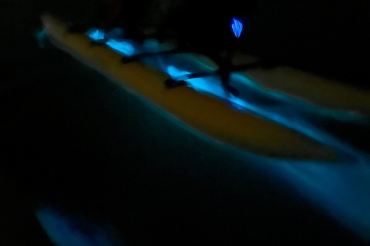 a screen shot of a computer