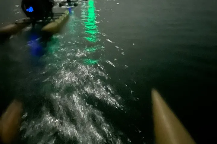 a traffic light sitting next to a lake