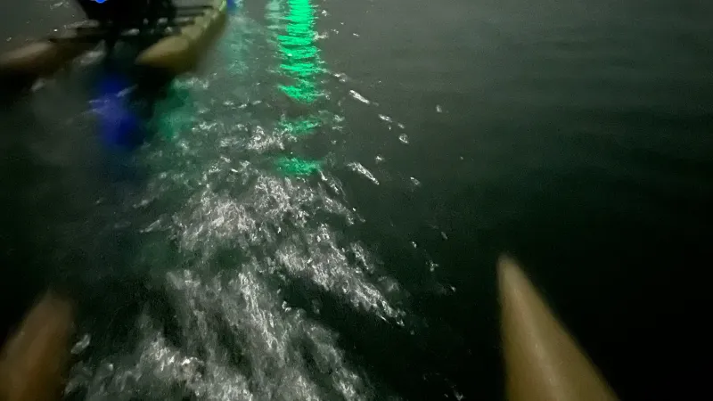 a traffic light sitting next to a lake