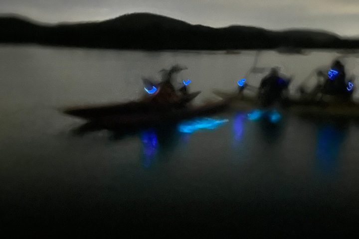 a group of people performing on stage in front of a body of water
