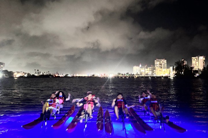 Group paddle boating on illuminated water at night with city lights in background.