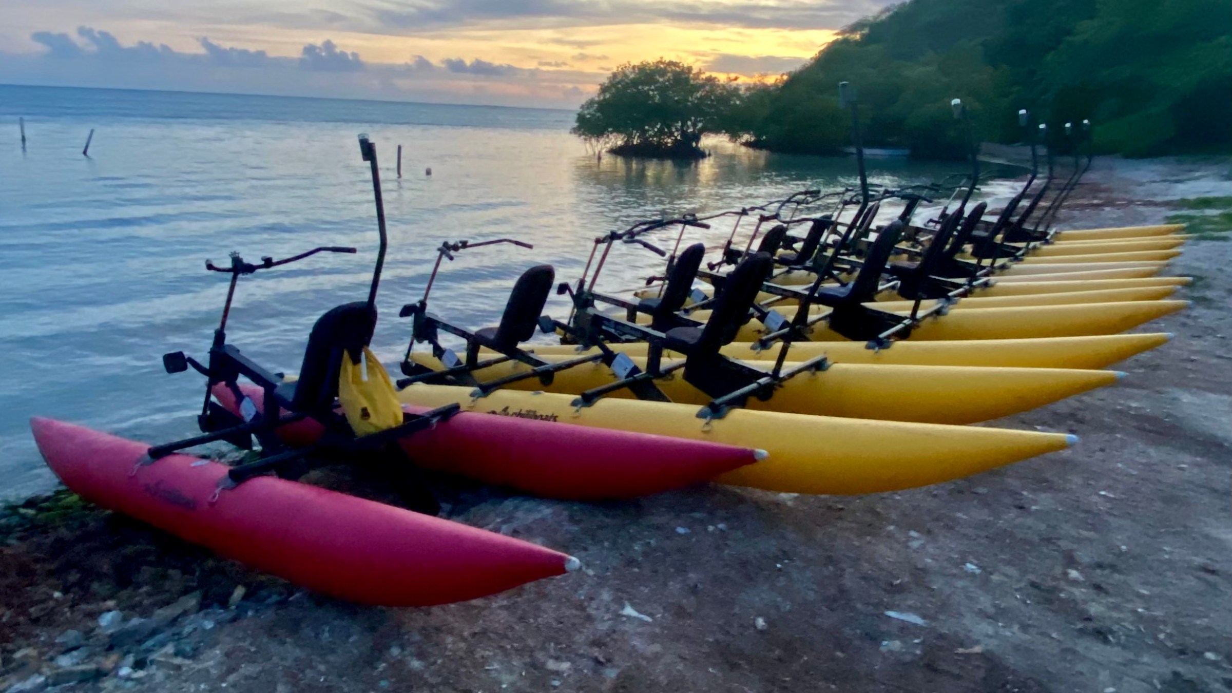 Row of red and yellow pedal kayaks by the shore at sunset.