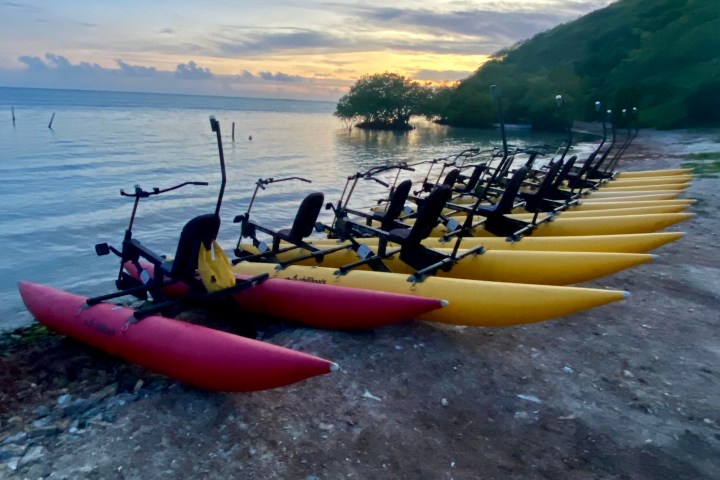 Row of red and yellow pedal kayaks by the shore at sunset.