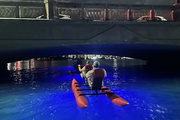 People kayaking under a bridge at night, with a glowing moon in the cloudy sky.