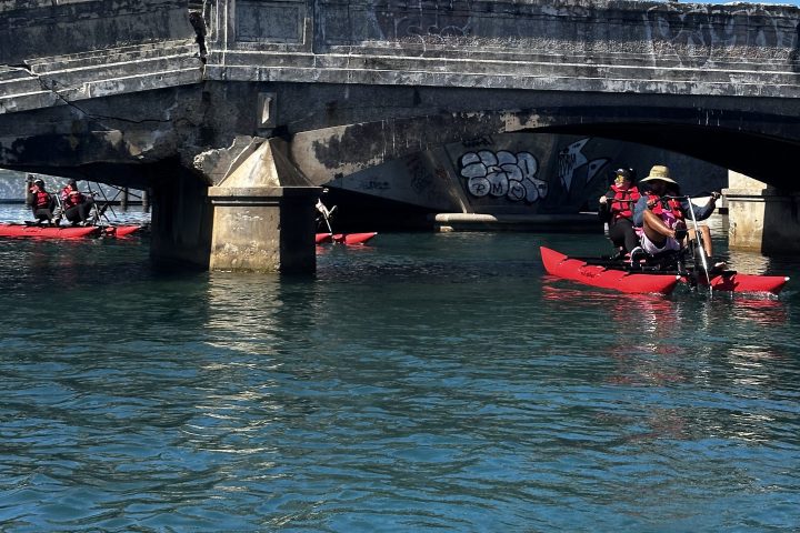 People kayaking under a graffiti-covered bridge on a sunny day.