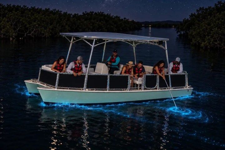 Group on a boat watching bioluminescent water at night.
