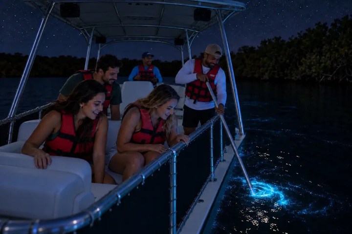 People on a boat at night looking at glowing water.