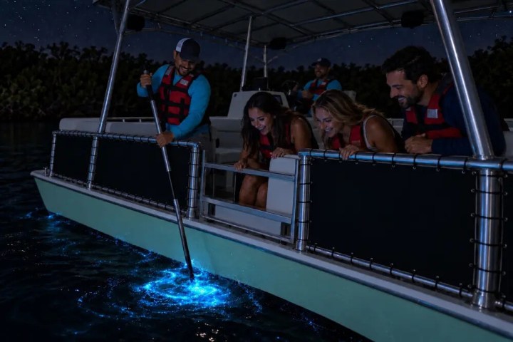People on a boat observe bioluminescent water with a pole at night.