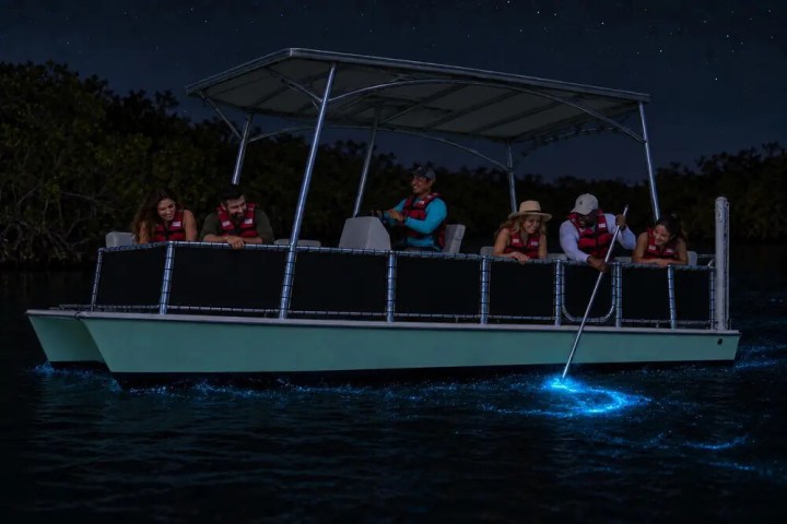 People on a boat watch bioluminescent water at night.