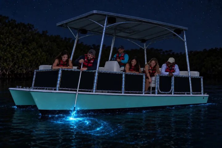People in a boat at night, looking at glowing water around the boat.