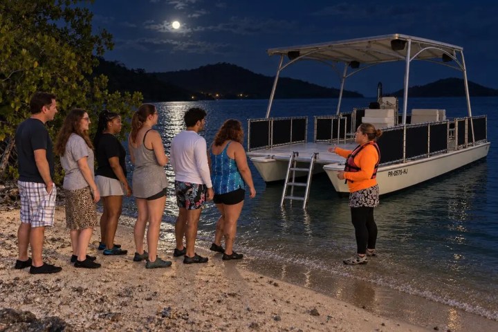 Group on beach at night near a boat, guided by a person in an orange vest.