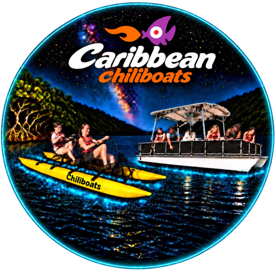 Logo with kayakers and a boat under a starry sky, text: 'Caribbean Chiliboats'.